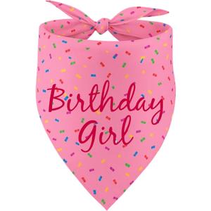 Birthday Girl Dog Bandanas Pink Dog Scarfs for Puppy, Pet Scarves HBD Bandanas for Small Medium Large Dogs, Puppy Birthday Party Supplies