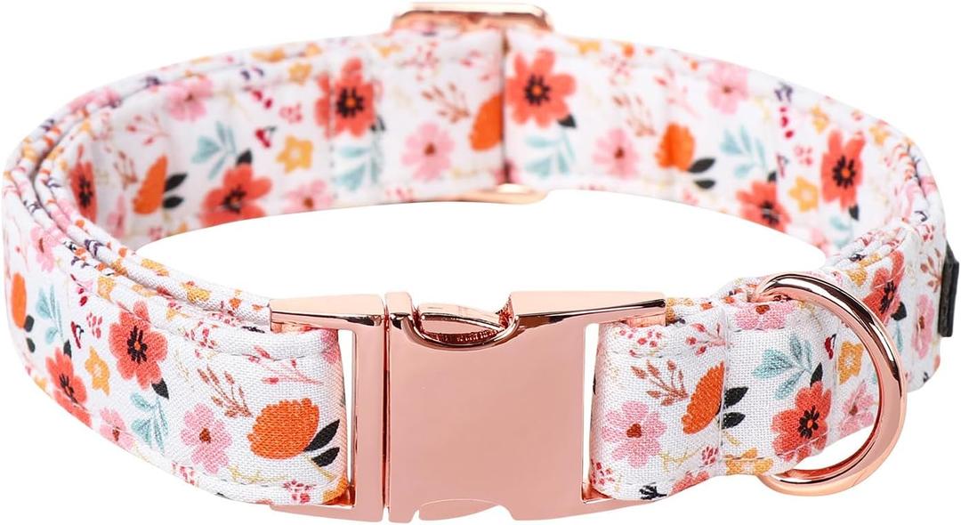 Lionet Paws Dog Collar, Adjustable Cute Collar with Metal Buckle for Male Female Puppies,Summer Flower, Large, Neck 16-24 inches