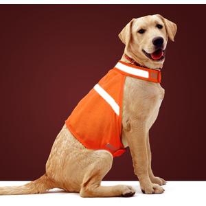 Dog Jacket High Visibility Safety Reflective Dog Vest for Small Medium Large Dogs (Medium, Orange)