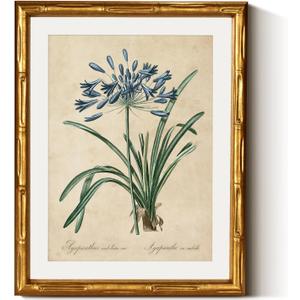 InSimSea Gold Bamboo Framed Canvas Wall Art, Retro Lily Botanical Prints, Antique Moody Picture Frame with Mat, Victorian Home Wall Decor for Kitchen Dining Living Room Bedroom, 11x14inch