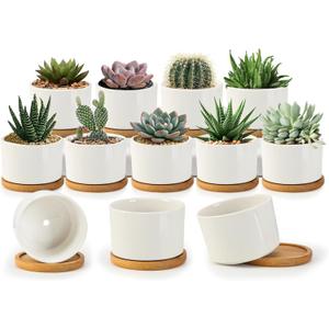 ZOUTOG Succulent Pots 3.1 Inch,Succulent Planters 12 Pack,Small Pots for Plants with Drainage and Tray,White Ceramic Flower Planters for Indoor Plants,Home,Office,Desk