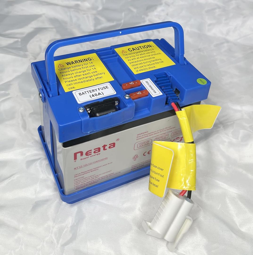 12 Volt Battery for Kids Battery Powered Ride On for Action Wheels for Disney Frozen Sleigh/for Motion Trendz for Yamaha Raptor 700R