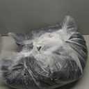 32"x 106" Bed Canopy for Girls & Adults, Double Layer Princess Round Dome Bed Curtain Canopy Drapes, Dreamy Mosquito Net Reading Nook, Bedroom Decoration (Moon)