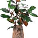 2 Pcs Magnolia Stems Artificial Magnolia Leave Branch, 43.3 Inch, Green