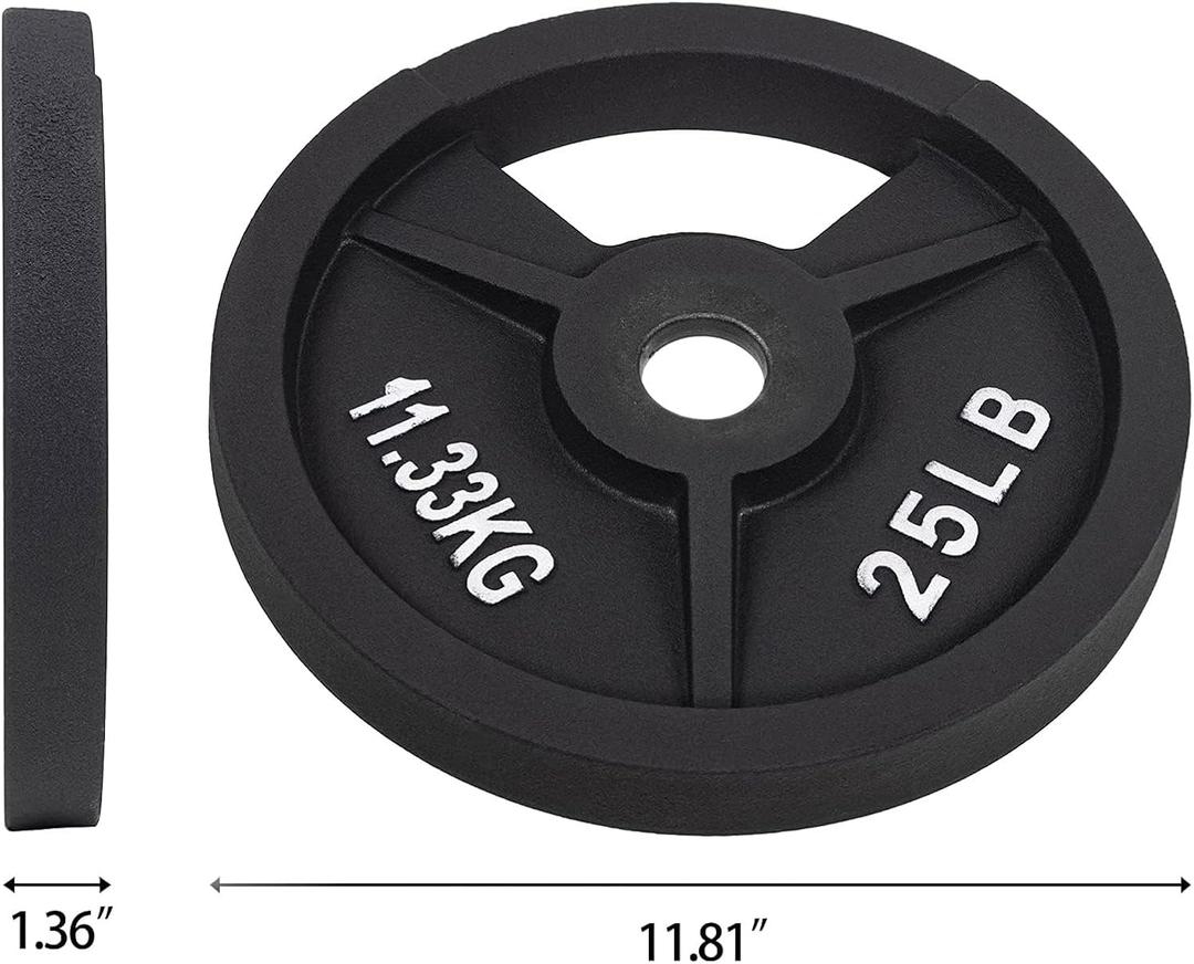 Fitvids 2-Inch Olympic and 1-Inch Standard Cast Iron Weight Plate for Strength Training & Weightlifting, 25lbs