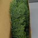 Real Touch Christmas Cedar Garland - Artificial Christmas Garlands Faux Pine Garland for Fireplace, Table, Stairs, Mantle, Window, Indoor Outdoor, Home, Holiday Decor(1 PCS, 6 FT)