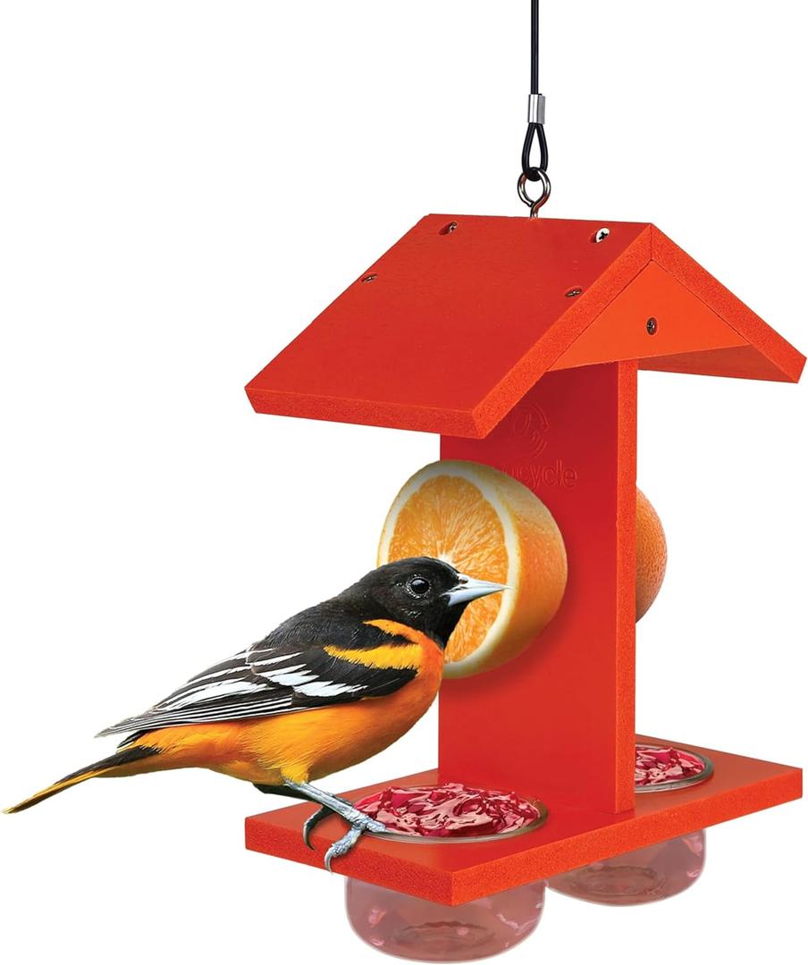 Citrus Sampler Recycled Plastic Orange & Jelly Oriole Bird Feeder for Wild Birds and Outdoor Dcor, Dual-Sided Feeding & 2 Removable Glass Dishes & Fruit Spikes, 0.4 Quart Capacity, Orange