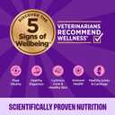 Wellness Complete Health Minced Adult Wet Cat Food, Natural, Protein-Rich, Grain Free, 5.5 Ounce, 24 Pack, (Chicken Entre) (EXP 08/04/25)