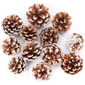 12 Pcs Big Size Snow Natural Pine Cones with Strings, 2-3.5 Rustic Pinecones Bulk Christmas Hanging Ornaments for Xmas Tree Decoration, DIY Crafts, Holiday, Wedding, Party