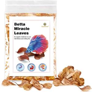 SunGrow 50 pcs Catappa Indian Almond Leaves for Betta Fish Tank Aquarium, 2 Water Conditioner Leaves, Leaf Also Suitable for Shrimp, Goldfish, Guppy and Frogs