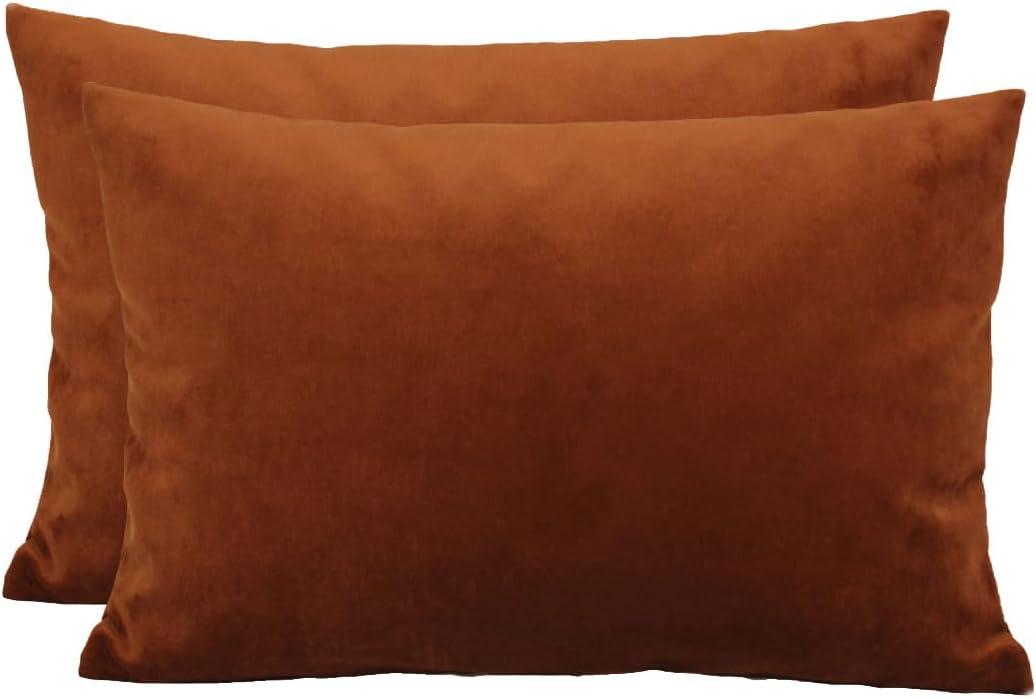 TangDepot Pack of 2 Solid Velvet Throw Pillow Covers, Super Luxury Soft Pillow Cases, Lumbar Pillow Shells, Pillowcases - (12x24 Inch 2 Pieces, Chocolate)