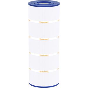 Pool Filter Compatible with C1200, cx1200re, PA120, C-8412, FC-1293, Clearwater II 125, Pro Clean 125, 120 sq. ft, 1 Pack