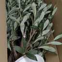 6FT Artificial Faux Olive Tree with Water Droplet for Indoor, Fake Silk Leaves, Green