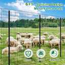 FOREHOGAR Metal Fence Post Black Splicing 6 feet, Pack of 15, T Posts for Fences Wire Mesh, No Dig Steel Stakes Fencing for Garden Yard Farm Outdoor Light Duty