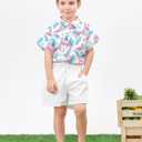 2-10T Boys Novelty Hawaiian Short Sleeve Button Down Dress Shirt (A0-flamingo 01)