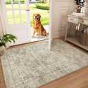 Machine Washable Throw Rugs for Entryway: Door Mat Indoor Entrance 3x5 Small Rug Stain Resistant Non-Slip Low Pile Soft Carpet for Kitchen Front Door Indoor Entry Bathroom Bedroom (Brown and Cream)
