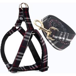 SuperBuddy Cute Dog Harness and Leash, Adjustable and No Pull Harness with Safety Buckle for Large Pet