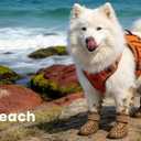 Dog Shoes for Hot Pavement - Comfortable Paw Protection for Medium & Large Dogs, Adjustable Strap & Non-Slip, Easy-Clean, Outdoor Sports Boots, Dog Booties for Summer Rain (Brown, M)