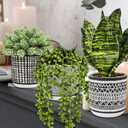 Winlyn 3 Pcs Small Potted Plants Artificial Succulents Hanging Plants and Faux Tropical Snake Plant in Black Geometric Pots for Modern Home Kitchen Windowsill Table Shelf Indoor Outdoor Greenery Decor