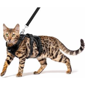 PUPTECK Cat Harness and Leash Set Escape Proof for Walking, Breathable Mash Vest Adjustable Harness for Cats Puppy Small Animals, Reflective at Night, Black Medium (M: Neck 11.4"-15.3", Chest 12.8"-20")
