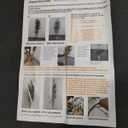 Olive Tree Olive 7 feet, Artificial Olive Tree with White Pot, Fake Tree with 1882 Dense Leaves & 96 High-Simulated Olive Fruits - Easy Assembly, Low Maintenance (Olive Tree 7ft)