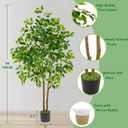 Warmplants Artificial Ficus Tree, 5ft Tall Fake Ficus Tree with Basket, Faux Plant for Indoor Outdoor Home Livingroom Office Garden Porch Dcor