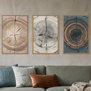 DRACIT Vintage Wood Tree Ring Framed Canvas Wall Art Set-16"x24"x3