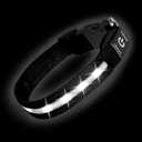 PetIsay Light up Dog Collar - High Visibility & Durable Nylon Material - USB C Rechargeable & Waterproof LED Dog Collar for Night Walking,Lighted Dog Collars Glow in The Dark Flashing(White,XL)