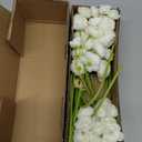 Waipfaru Ranunculus Artificial Flowers, 18Pcs 14In Fake Peonies Artificial Flowers, White Faux Flower for Vase Silk Flower Real Touch Faux Peony Bulk for DIY Wedding Bouquet Home Bridal Shower Decor