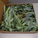 Olive Wreath for Front Door 22 inch, Greenery All Season Wreath with Olive Leaf Fruit, Home Decoration for Outdoor Living Room Indoor Wall and Outside Summer All Season Wedding