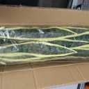 Crowye Tall Artificial Snake Plant Faux Sansevieria Plant Large Fake Snake Bulk in Pot for Home Office Housewarming Gift(2 Pack,2.25 Ft)