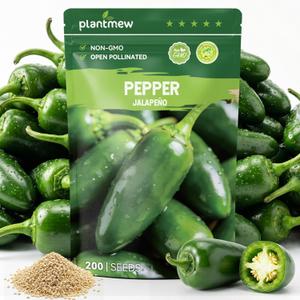 4 x 200 Heirloom Jalapeno Pepper Seeds for Planting – Hot Pepper, High Germination, Fast-Growing, Ideal for Home Garden, Container, or Greenhouse