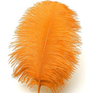 Ballinger Orange Large Ostrich Feathers - 24Pcs 10-12inch Large Orange Feathers for Vase,Wedding Party Centerpieces 