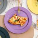 Berglander Plastic Plates Set of 8 Pieces 10", Mutil Color Reusable Flat Dinner Plates, Salad Plates, Pasta Bowls, Dishes Set Easy to Carry for Home, Garden, Picnic, Camping, Outdoor