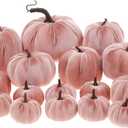 16 Pcs Light Pink Velvet Pumpkins Halloween Assorted Faux Velvet Pumpkins Set Handmade Artificial Foam Pumpkin Decor Fall Harvest Thanksgiving Home Party Table Centerpiece Decoration
