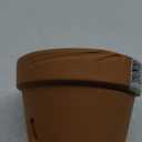 Orchid Pot, Terra Cotta Clay, 6-In.