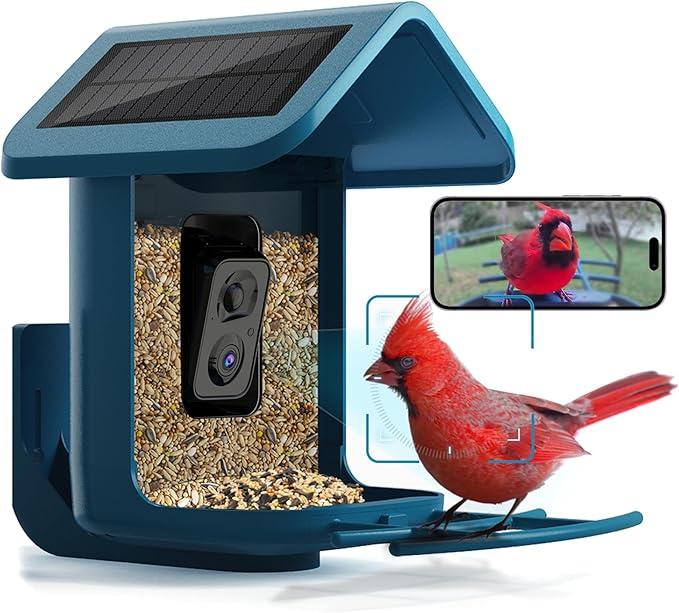 Bird feeder cam
