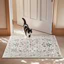 Maxsoft Small 2x3 Rugs for Entryway, Washable Floral Area Rugs for Entrance, Low Pile Thin and Non-Slip Throw Carpet for Kitchen Floor, Front Door Indoor Door Mat, Bathroom, Bedroom Bedside, Pink