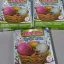3 x PAAS Rockin' Robin Egg Decorating Kit