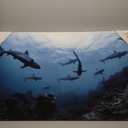 Decorative for Classroom Ceiling Light 36"x24" Feet Magnetic Light Covers Filter Easy Install for Office Hospitals & Home Drop Ceiling Supplies (Shark)