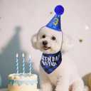 hoyuwak Dog Birthday Party Supplies Blue Boy Pet Birthday Banner Hat Bow Tie Bandana with Number Set for Boy Small Medium Dogs