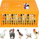 Poultry Carrier Crate Plastic Chicken Transport Crate Cage Heavy Duty Chicken Carrier Crates Crates Transport Box