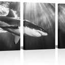 KLVOS 3 Piece Nautical Wall Art Shark Under The Sea Picture Canvas Painting Ocean Animal Canvas Print Black White Contemporary Artwork for Home Boys Bedroom Decoration Office Bathroom Wall Decor