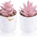 Der Rose Set of 2 Succulents Plants Artificial Mini Fake Succulents Plants for Office Desk Accessories for Women Pink Home Vanity Decor