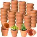 Gerrii 50 Pcs Mini 1. 2 Inch Terracotta Pots Bulk Small Clay Tiny Miniature Cactus Flower Succulent Plant Nursery Pots with Drainage Holes for Craft Indoor Outdoor Plants(Terracotta)