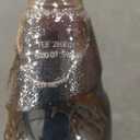Vimto Real Fruit Squash 725ml