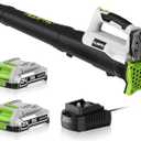 Leaf Blower Cordless with 2x2.0Ah Batteries and Fast Charger 21V Lightweight Electric Leaf Blower, Portable Handhold Battery Powered Blowers for Lawn Care, Patio Cleaning, Blowing Leaves and Dust