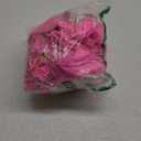 9 Pcs 20" Finally 21 Pool Floats with Adhesive Dots 21st Birthday Party Large Inflatable Floating Letter Set Pink Pool Decorations for Summer Birthday Party Supplies