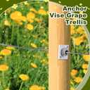 10 Pcs Anchor Wire Vise with Screws Grape Trellis Anchor Vise for Tightening 12-13 Gauge Wire to Build Trellises, Vineyards, Fences and Arbors
