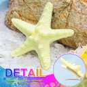 3 x CAKURE Starfish Hair Clip Cute Beach Hair Clips Little Mermaid Hair Accessories for Women and Girls (Pack of 2)